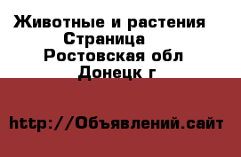  Животные и растения - Страница 3 . Ростовская обл.,Донецк г.